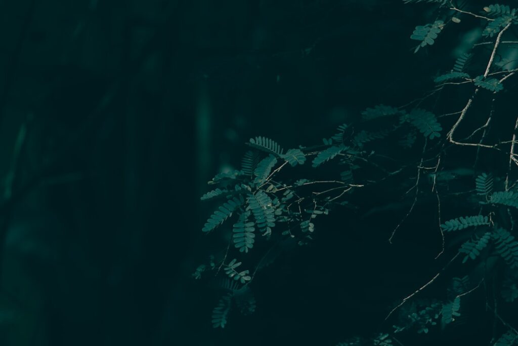 Photo Storytelling Formula