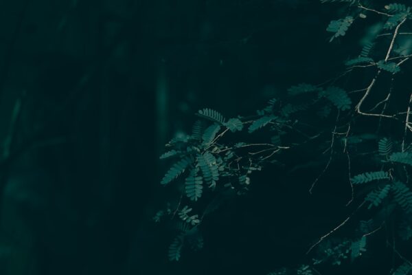 Photo Storytelling Formula