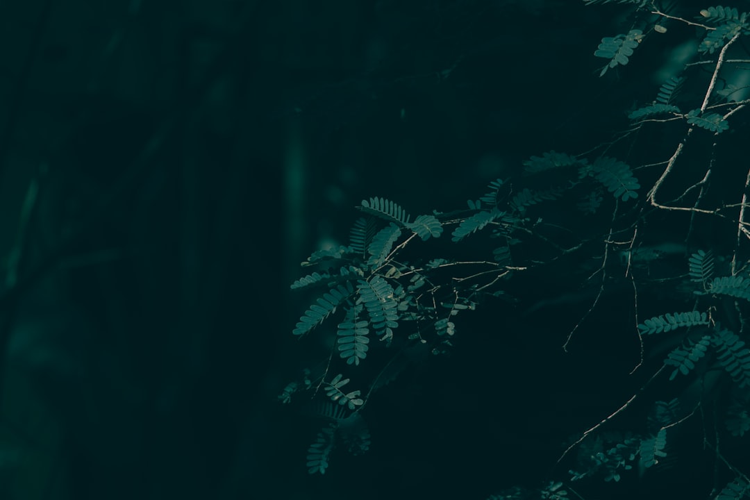 Photo Storytelling Formula